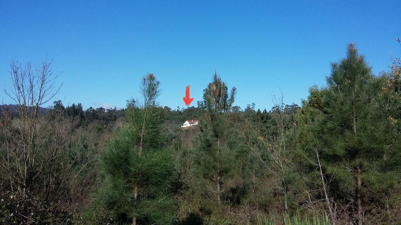 לינה וארוחת בוקר Mouronho Porturama מראה חיצוני תמונה