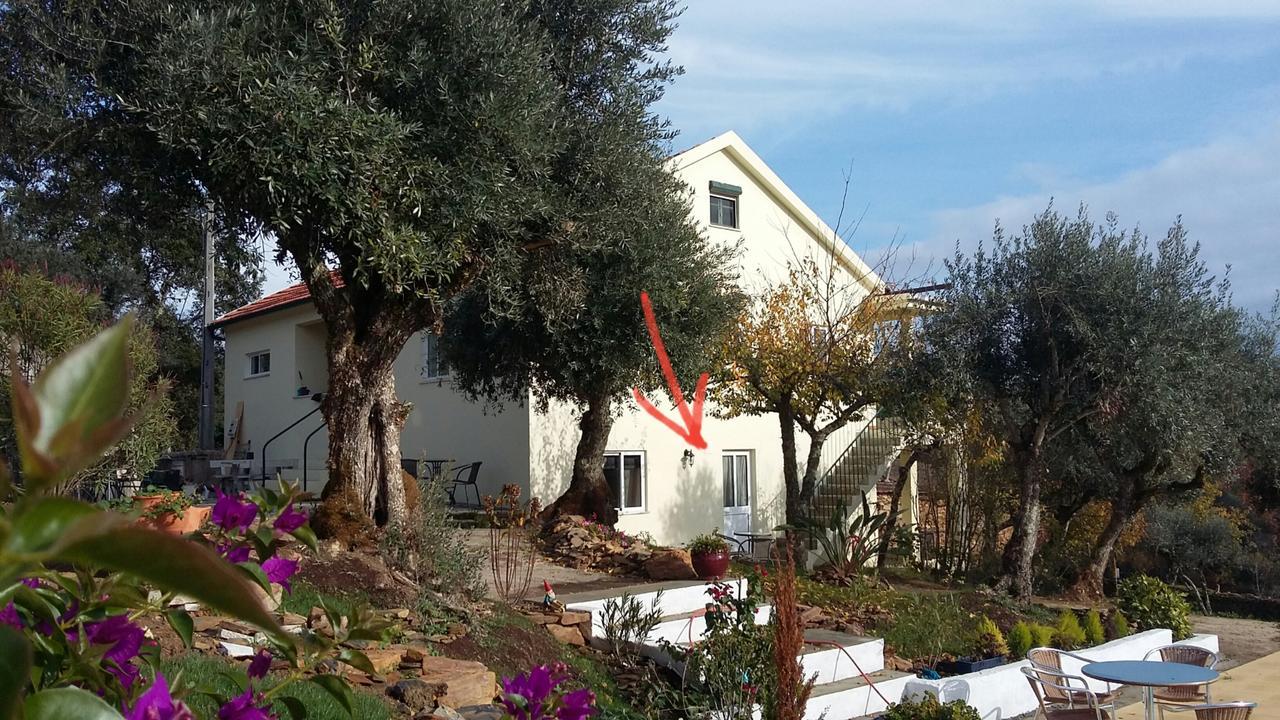 לינה וארוחת בוקר Mouronho Porturama מראה חיצוני תמונה